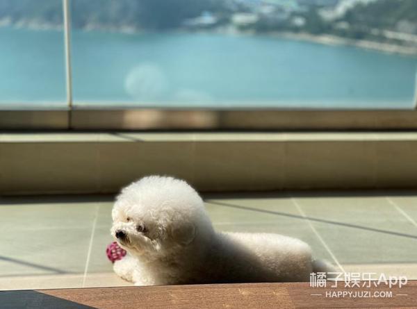 赵文卓住的豪宅,赵文卓晒出自己的豪宅