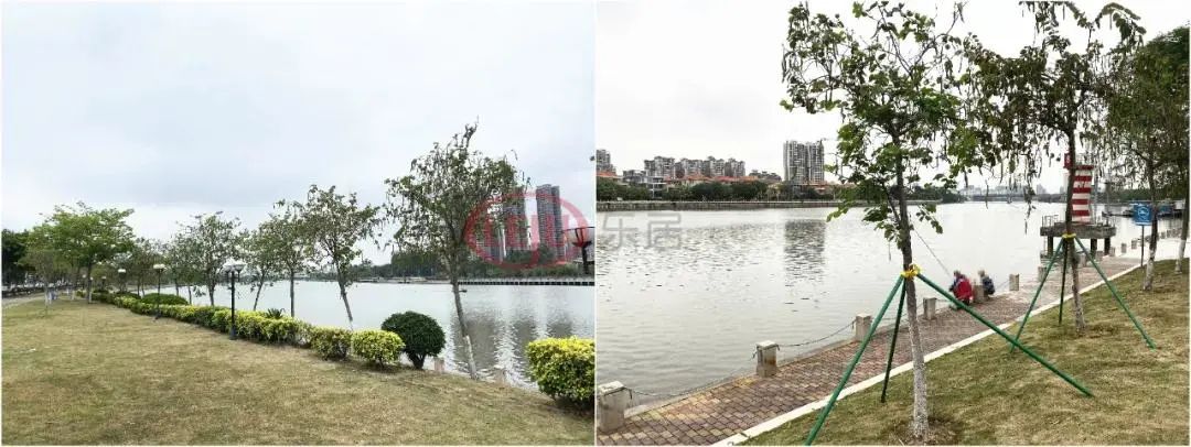 番禺桥南新盘,2024番禺新盘一览表