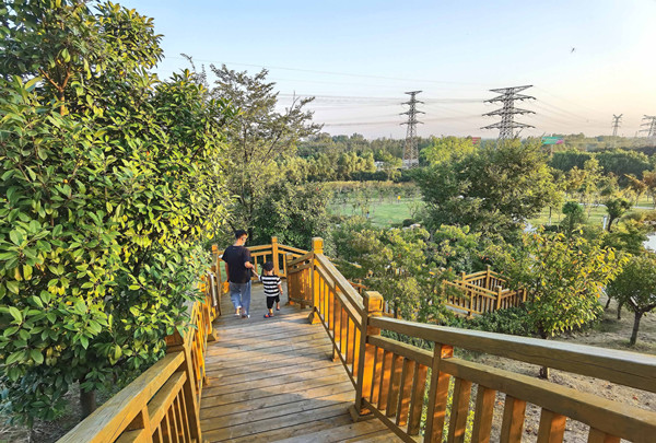 沭阳出游攻略,沭阳旅游领略自然之美畅游沭阳