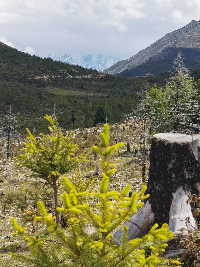 康定情歌木格措风景区自驾攻略,康定情歌木格措风景区舞蹈