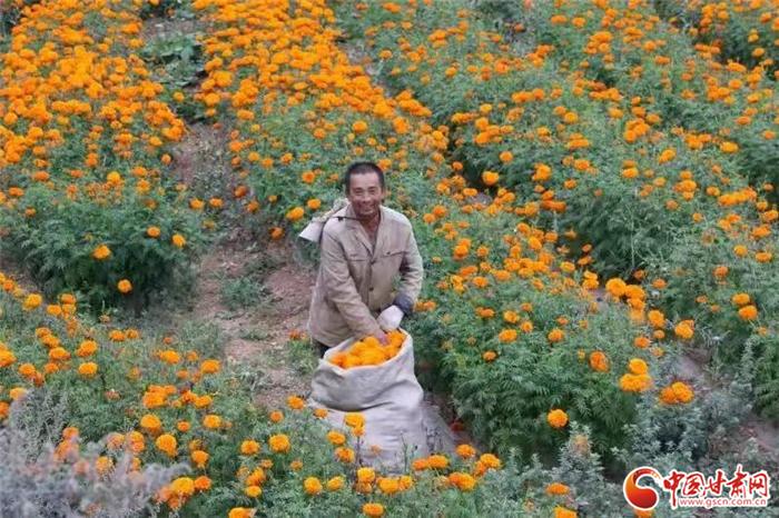 陇南礼县为什么叫秦皇故里,陇南礼县秦皇故里视频