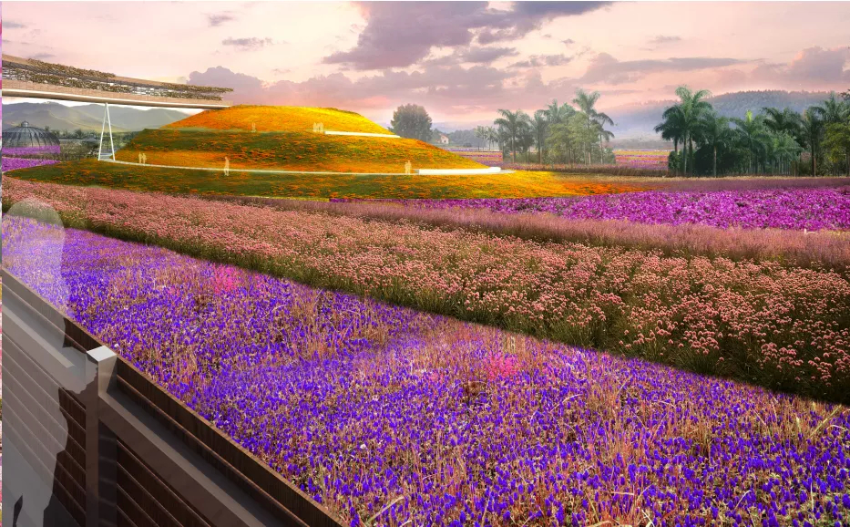 烟台开发区景点牟文化小镇,烟台开发区来牟小镇几月有花