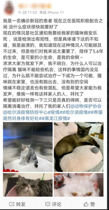 小铭切瓜丨新冠确诊者家中3只猫核酸阳性被安乐死是否合法？能否要求赔偿？