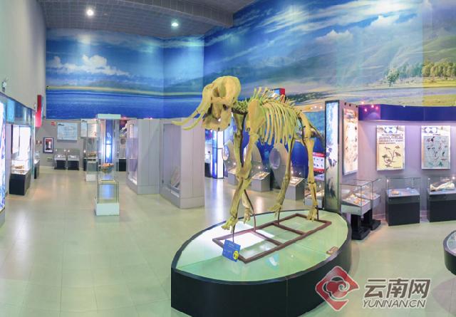 云南大理奇妙博物馆,云南生命博物馆