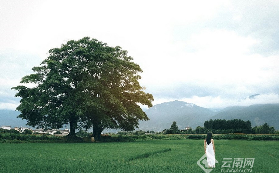 国庆去大理旅游玩攻略大全,国庆大理哪里玩最好推荐