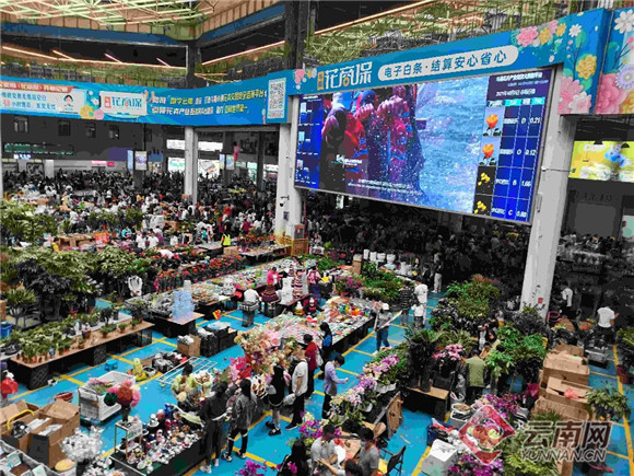 昆明斗南花卉市场亚洲最大,昆明斗南花卉市场是亚洲最大的吗