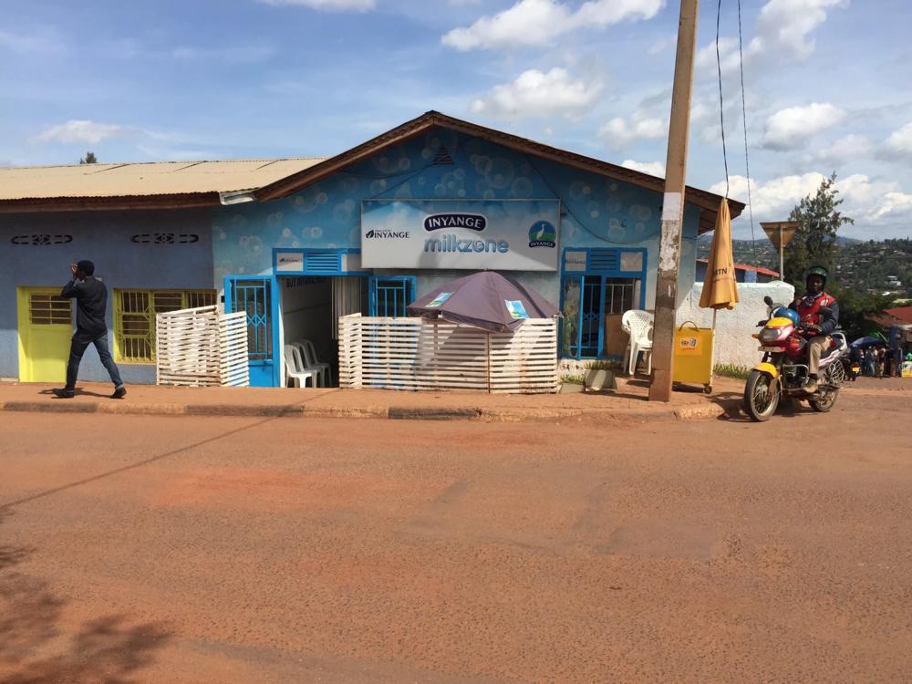 看着卢旺达老哥在奶吧吹奶，我忘记了乳糖不耐