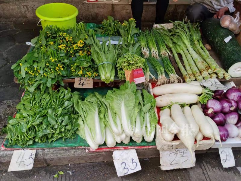柳州现在什么青菜便宜,柳州青菜贵