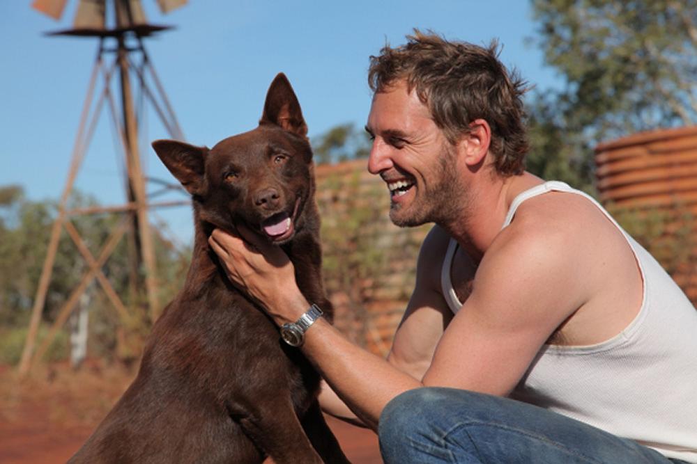 十部顶级搞笑公路电影,十部放飞自我的公路电影