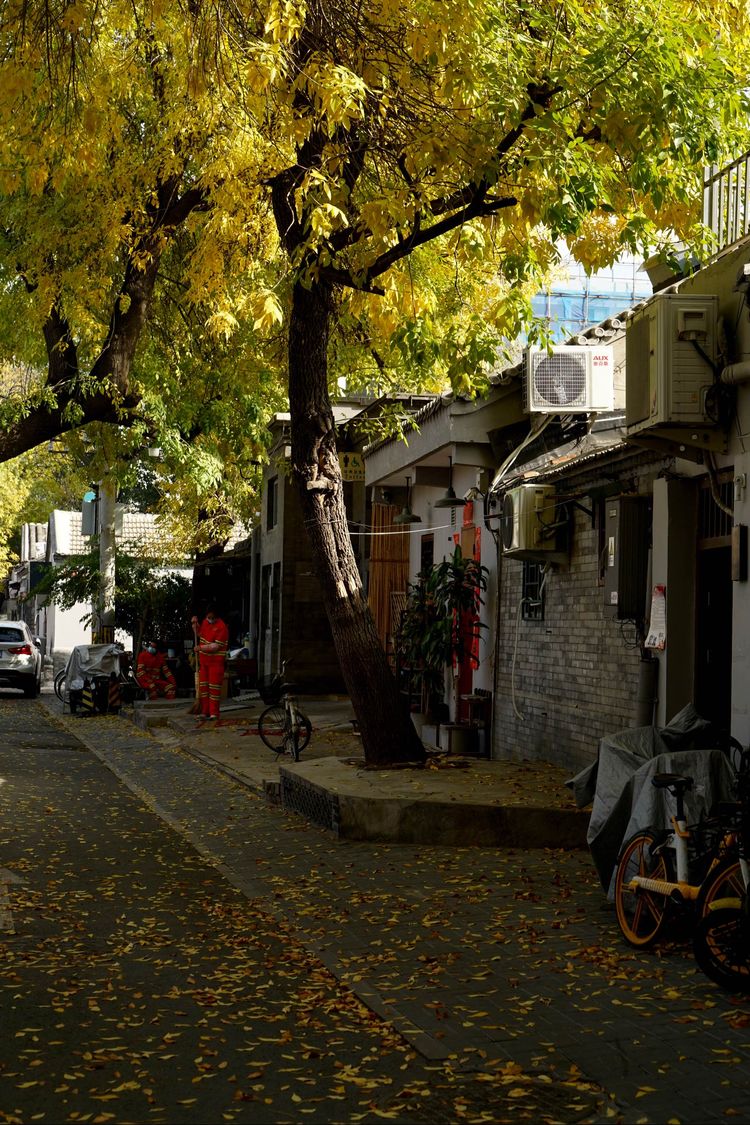 金色的北京犬,金色的北京现代汽车