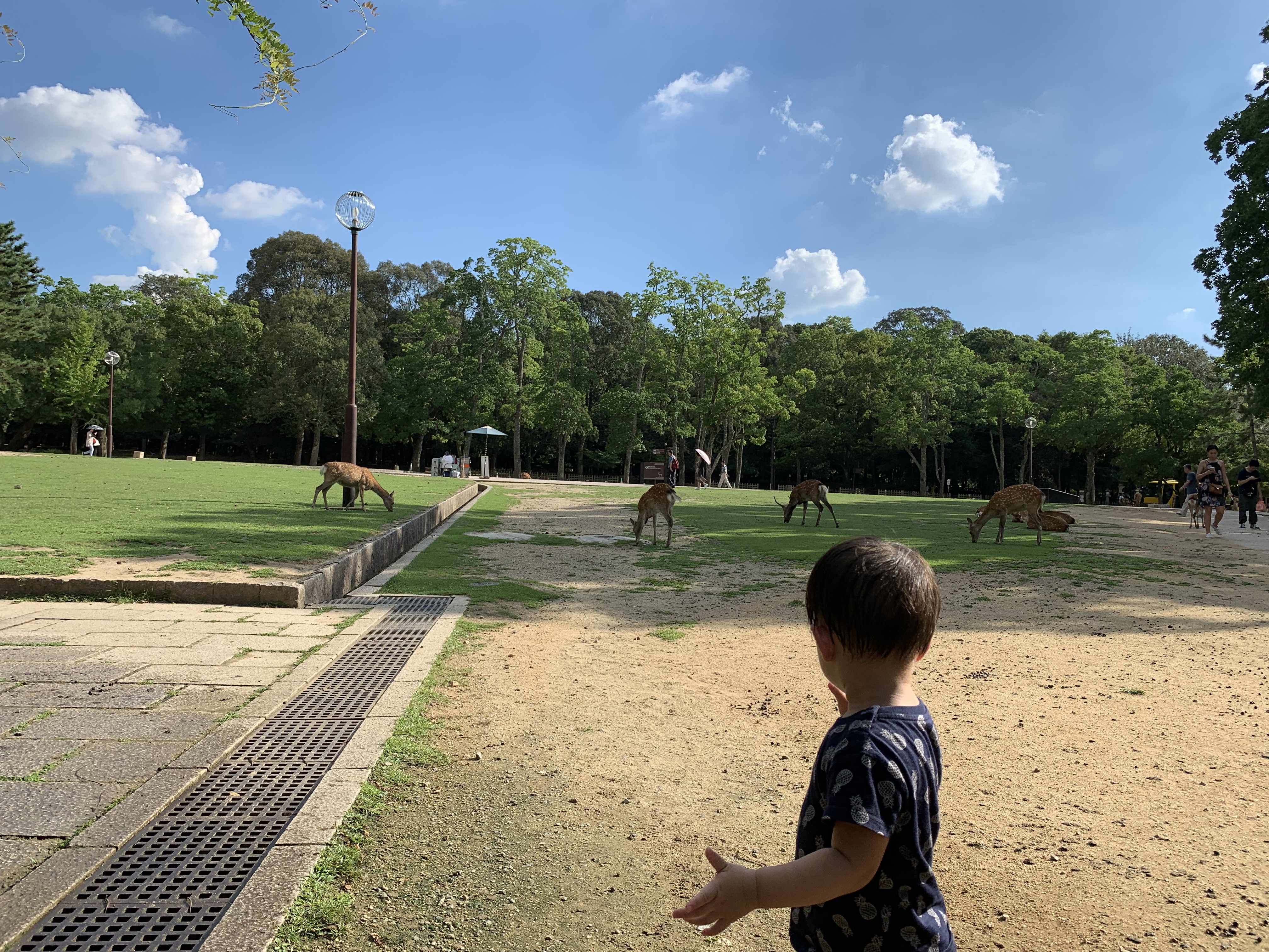 带17个月宝宝玩转日本攻略（一）——出行筹备