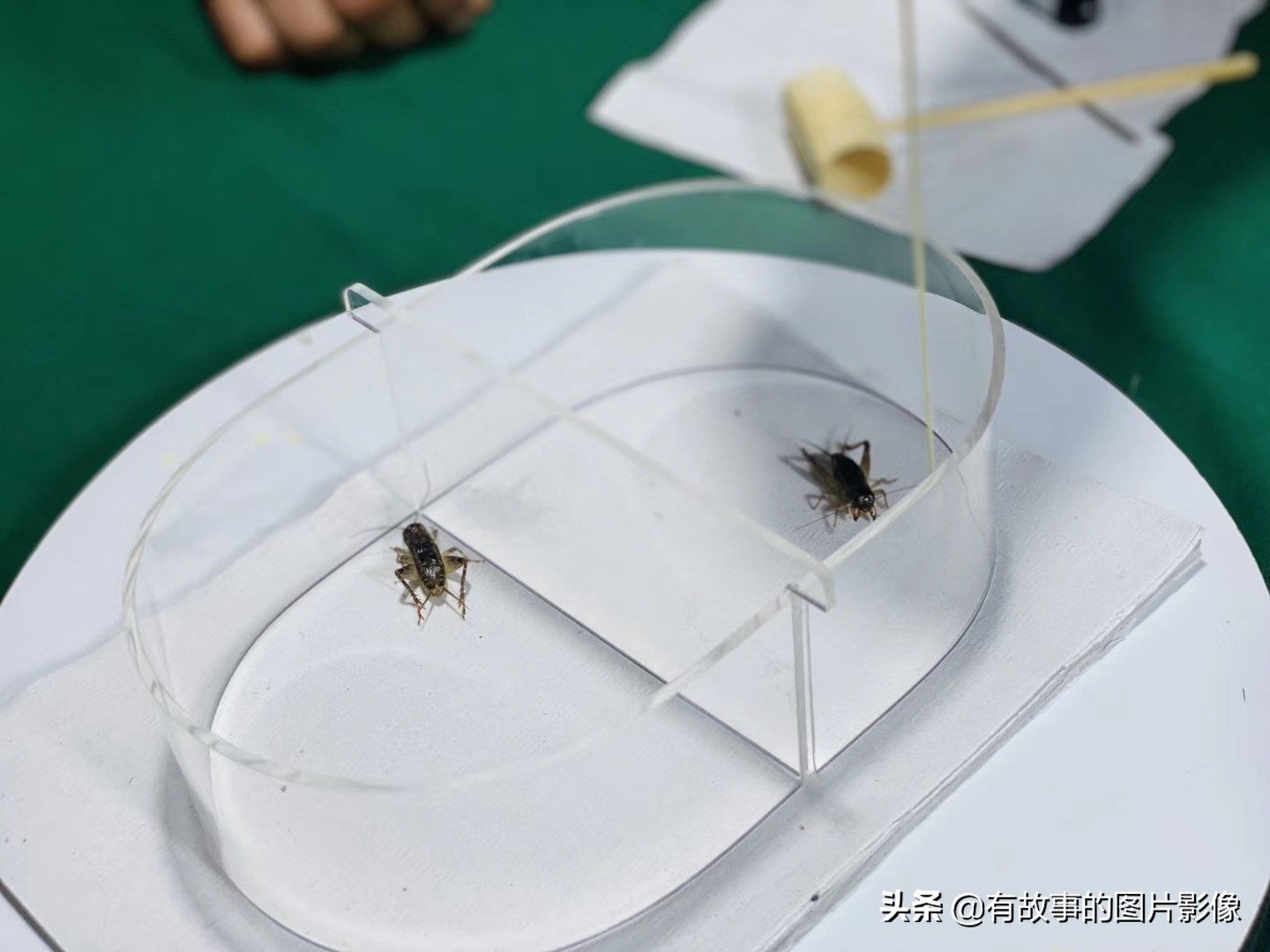 十年历程感恩一路有你,十年一路相伴感恩有你