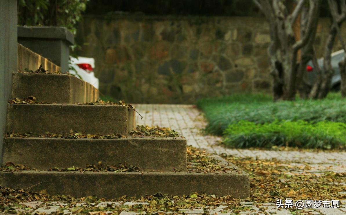 河海大学和北京科技大学哪个好,河海大学是985还是211土木工程