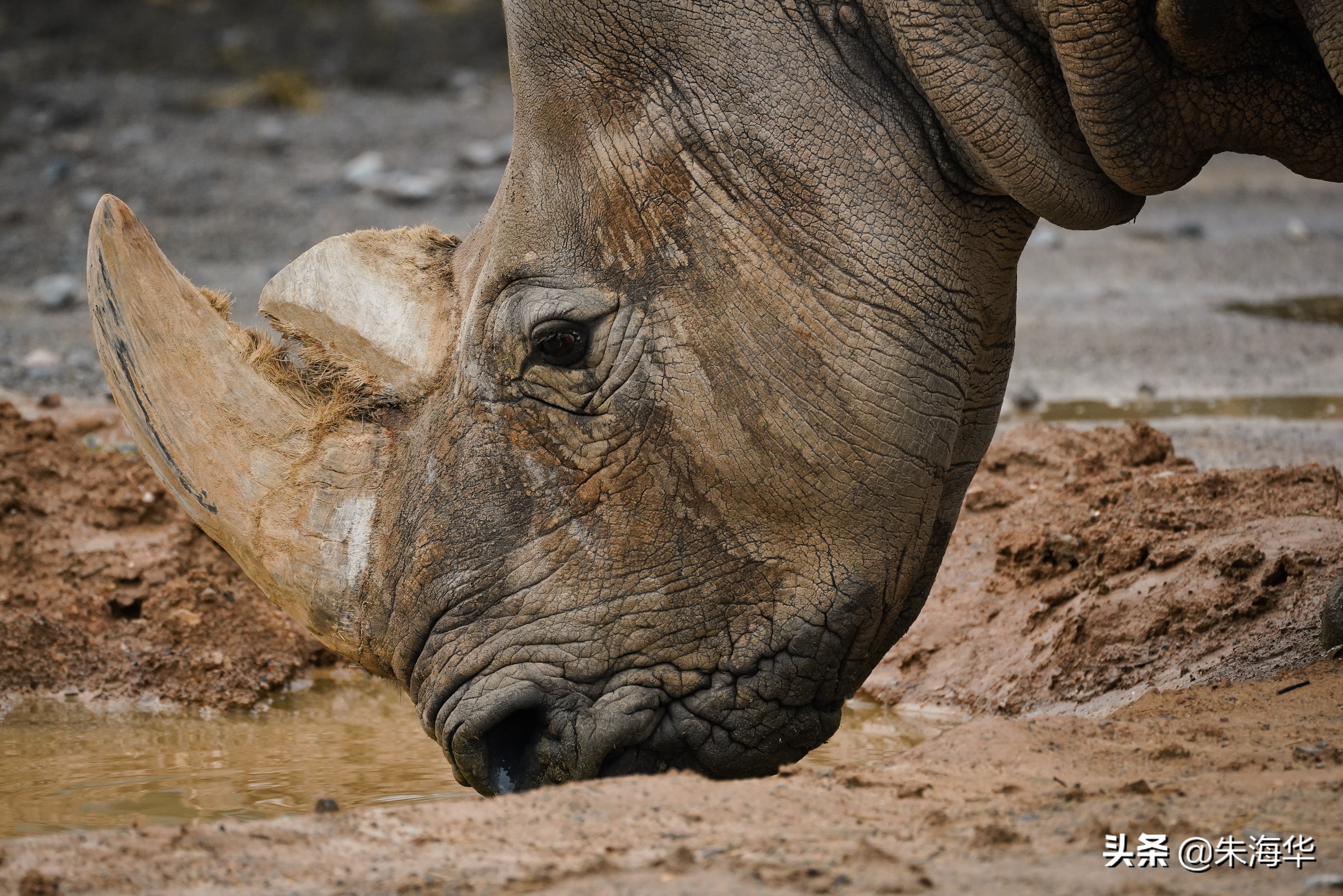 镜头记录：“它们”和我们