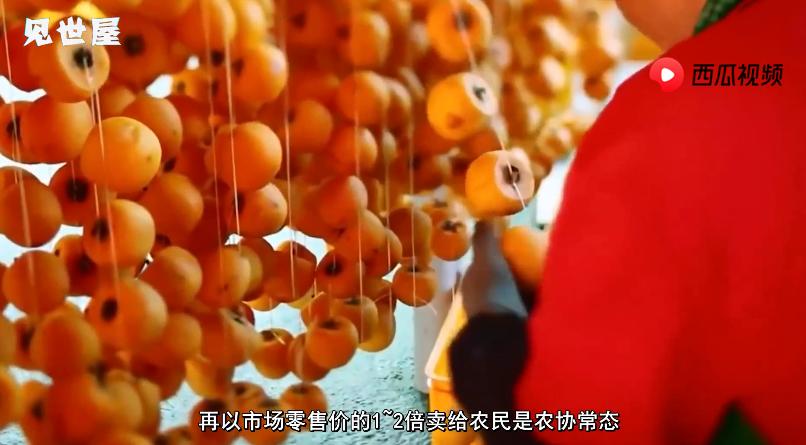 日本农协的经营模式,日本农协的弊端