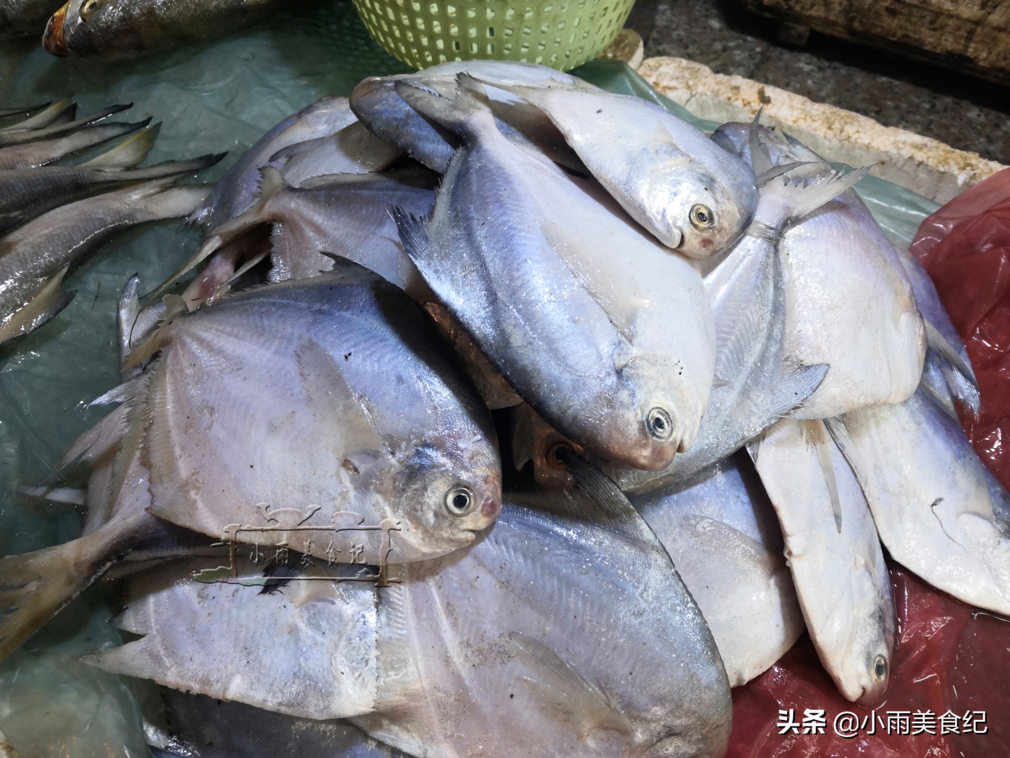 哪些食用鱼好吃又好养殖,什么食用鱼比较好养又有价值