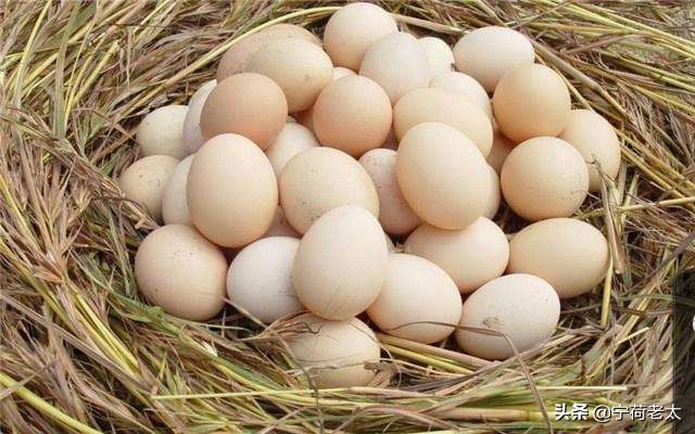 四岁孩子牙齿变黑,4岁小朋友牙齿开始变黑