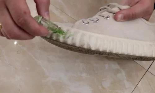 2块的风油精隐藏的六大冷知识,风油精的10大妙用全部