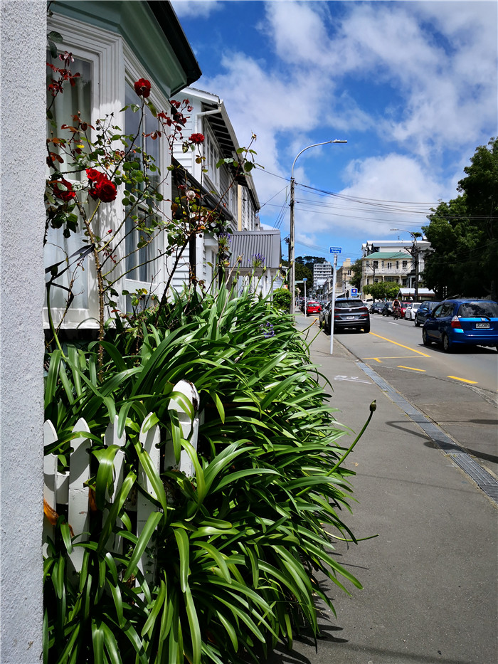 新西兰总理府前吃素食