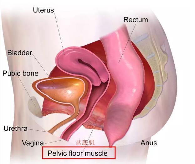 为什么杨幂生完小孩变漂亮了,杨幂生完孩子为什么那么瘦