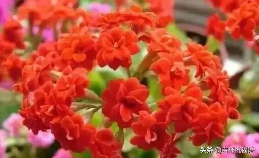 父亲节送给父亲什么礼物最好,父亲节一首好听的歌送给父亲