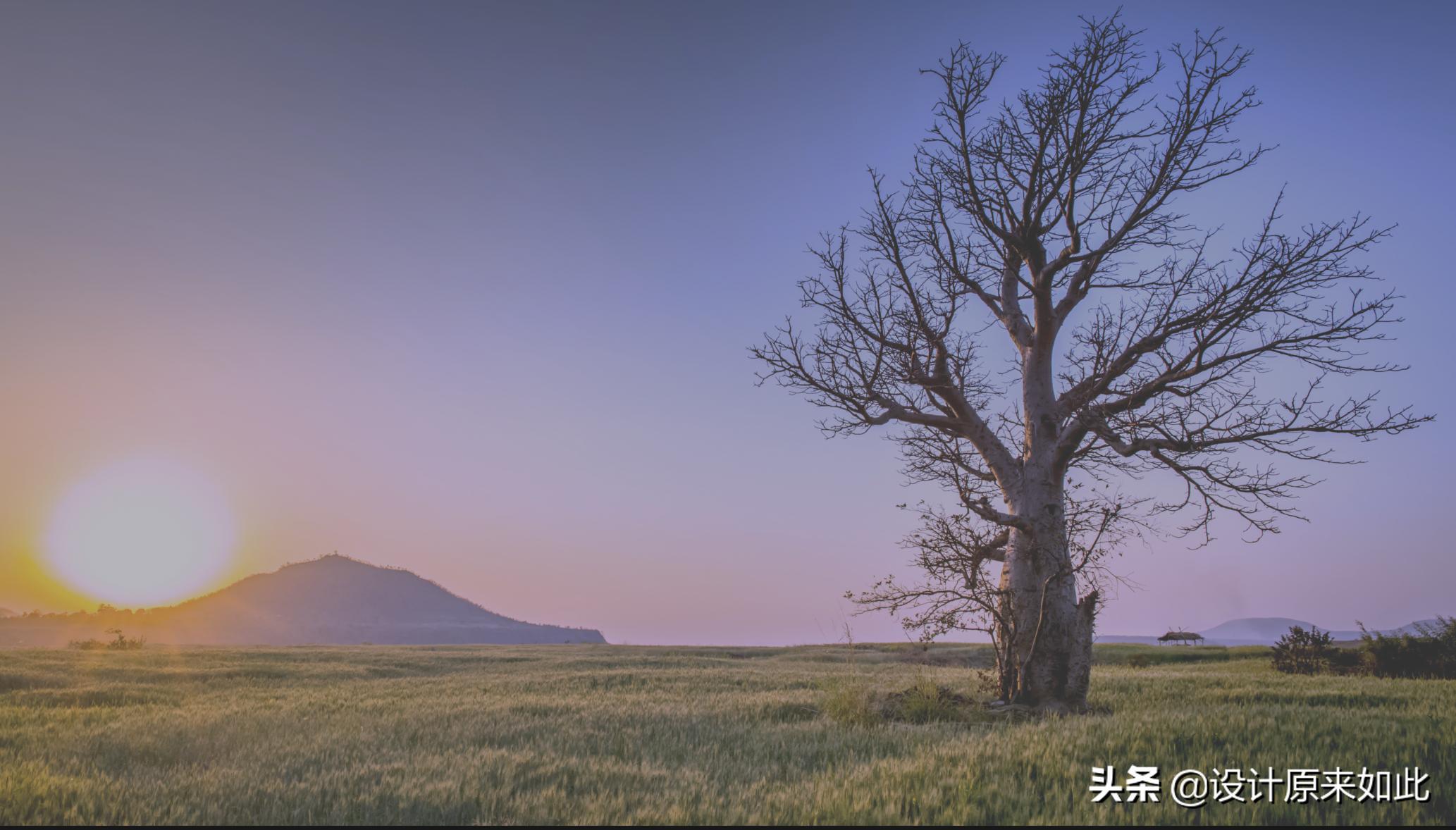 ps可选颜色与色阶调色的区别,ps怎么调色照片背景颜色