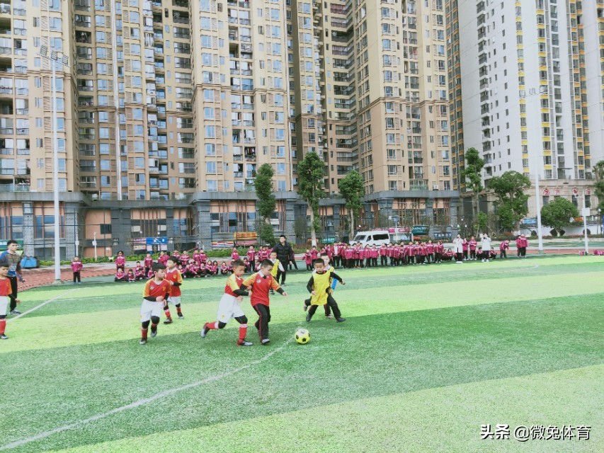 花果园第三小学足球赛六年级,花果园第三小学五人制足球联赛