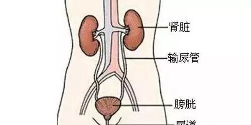 这种甜蜜的毒药，你常吃么？