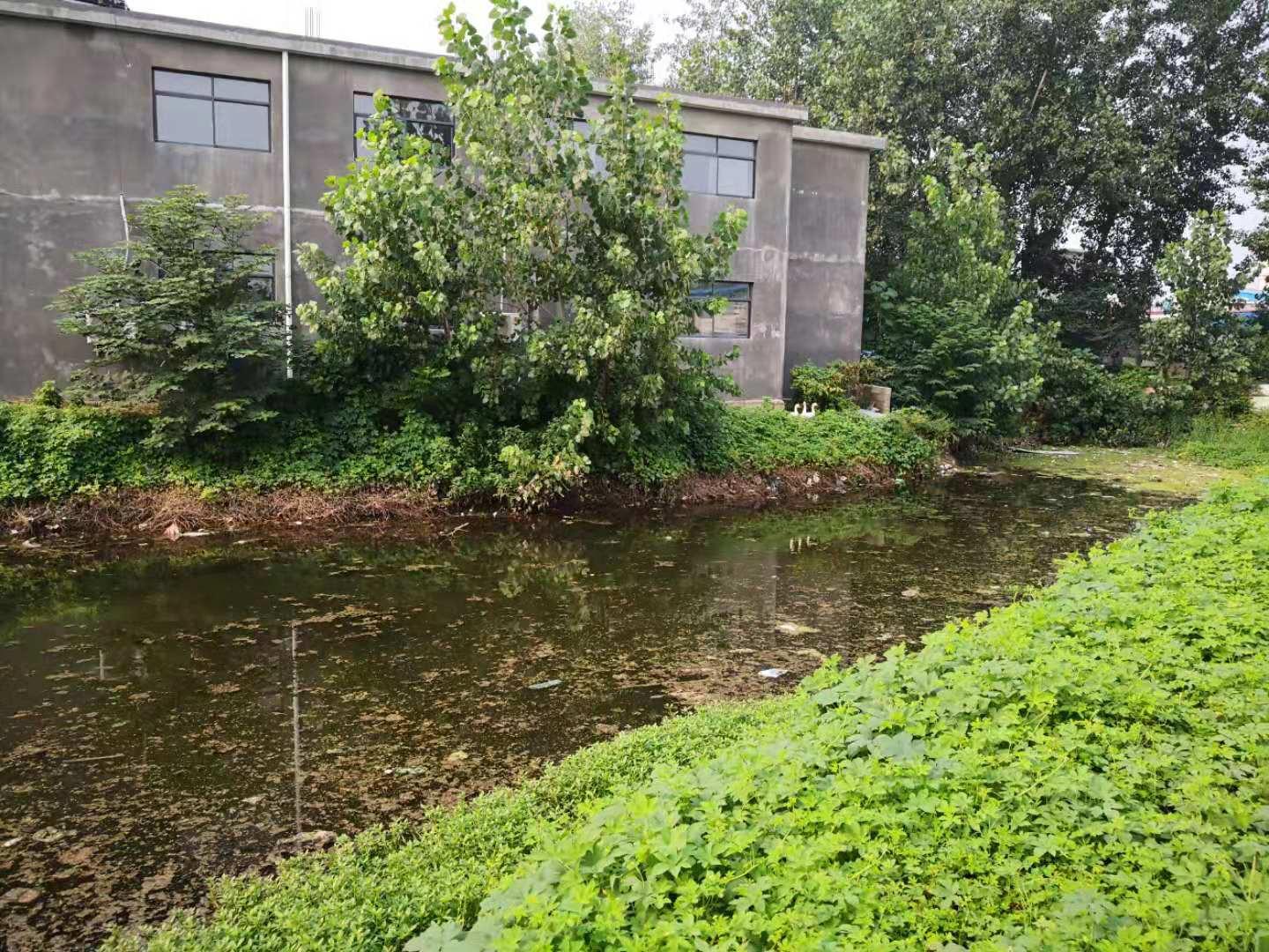 邳州古镇天气预报,邳州古镇宿羊山