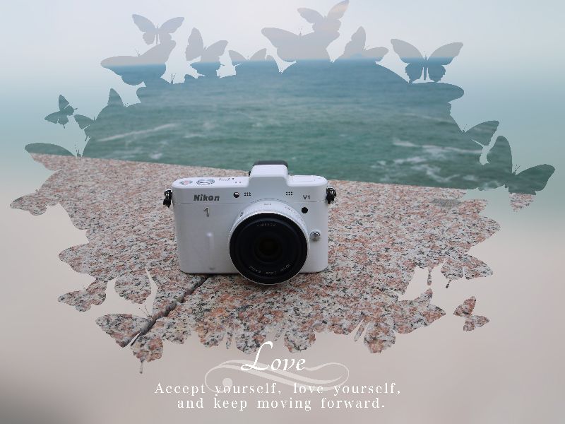 尼康v1微单用什么镜头好,尼康微单v1和j1区别