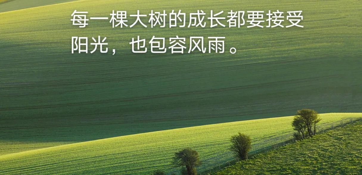 犹太人家庭教育成功秘密,犹太人的教育方法和技巧