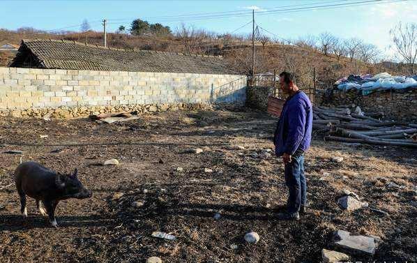 6年前捡到太岁,捡到太岁农民现在过得怎么样了