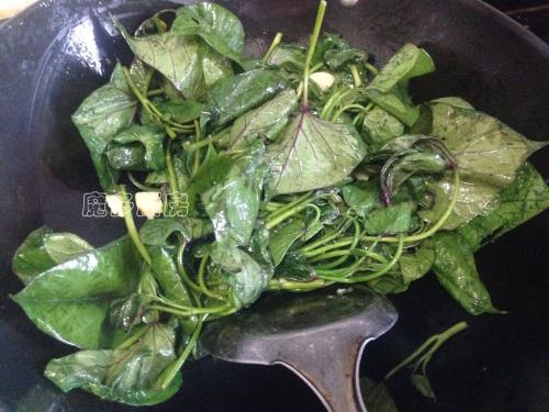 暑假之乐作文,暑假之行