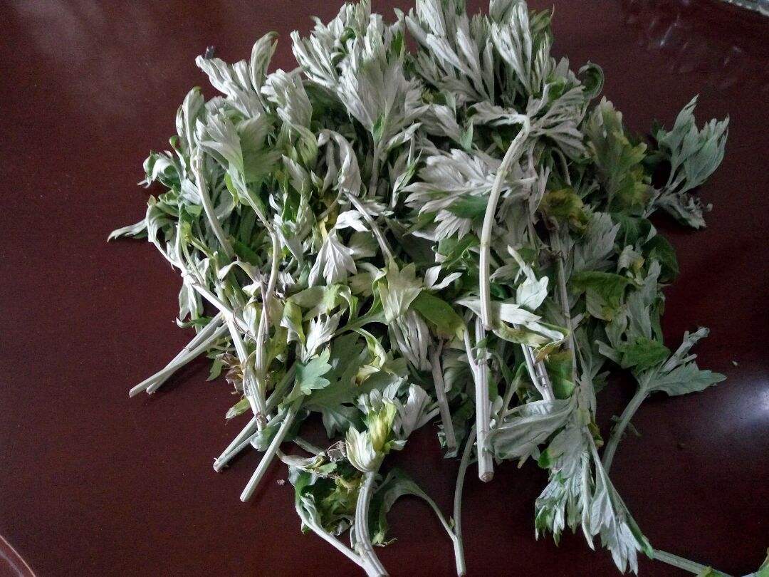 家里种植艾草能驱蚊吗,艾草驱虫的正确方法