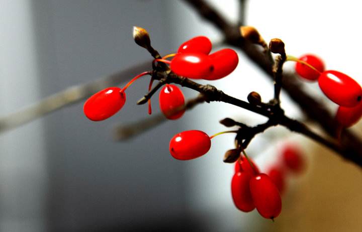 大唐宰相家搜出胡椒，为何要被处以死刑？