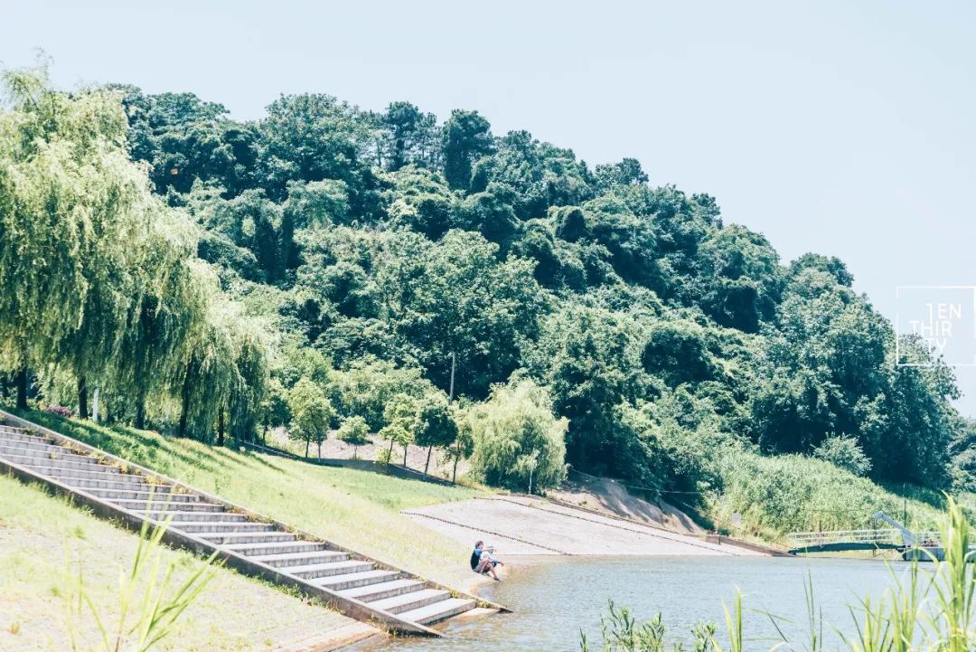 用66张照片回忆2020年,江夏高清图片