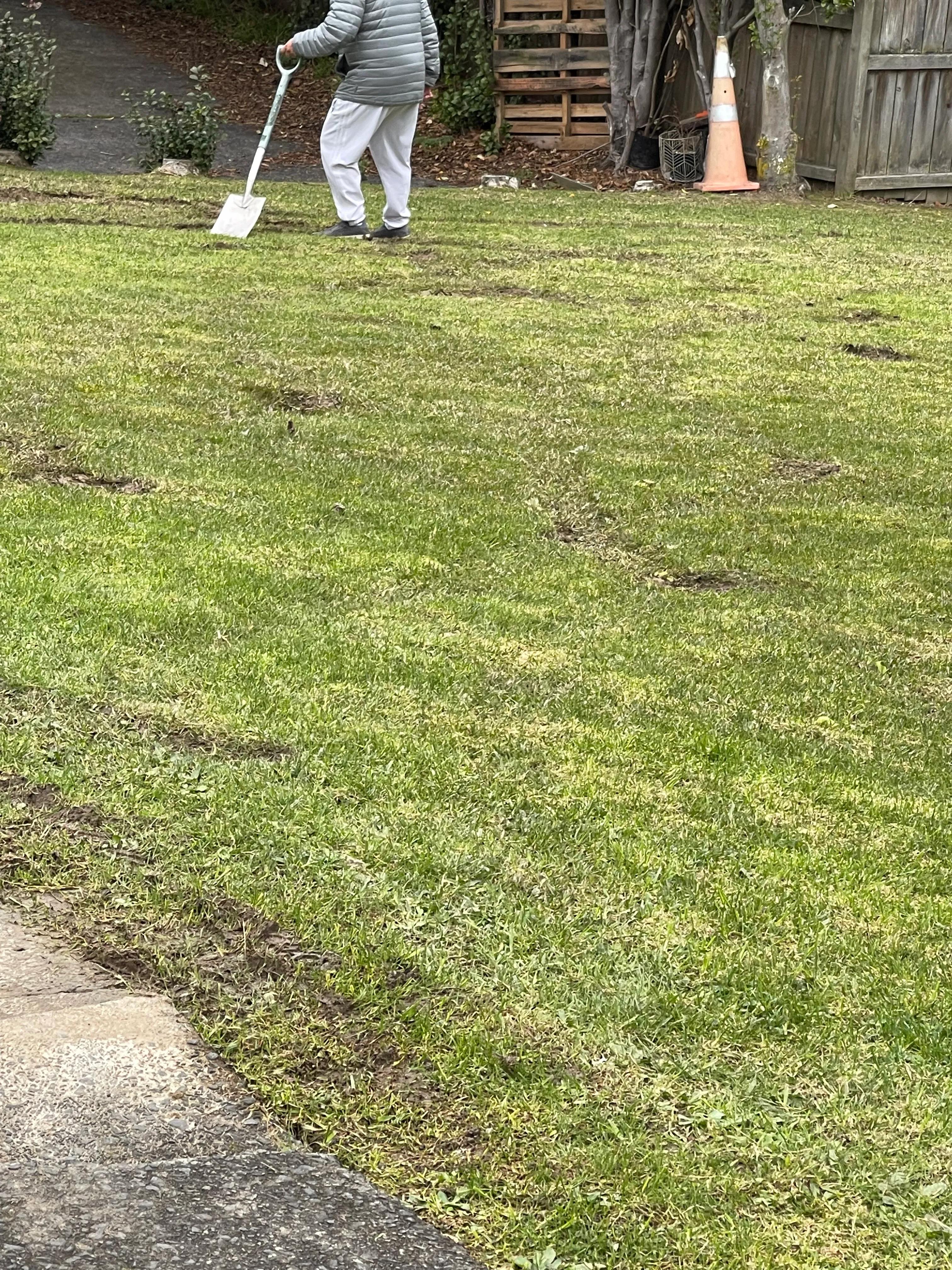 新西兰送外卖条件 (中国人在新西兰送外卖)