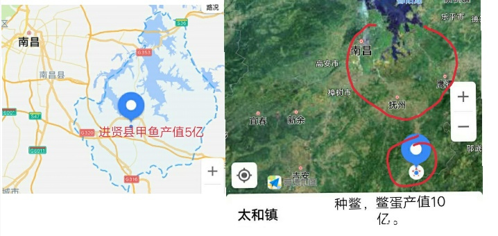 甲鱼全产业链,甲鱼产业现状如何