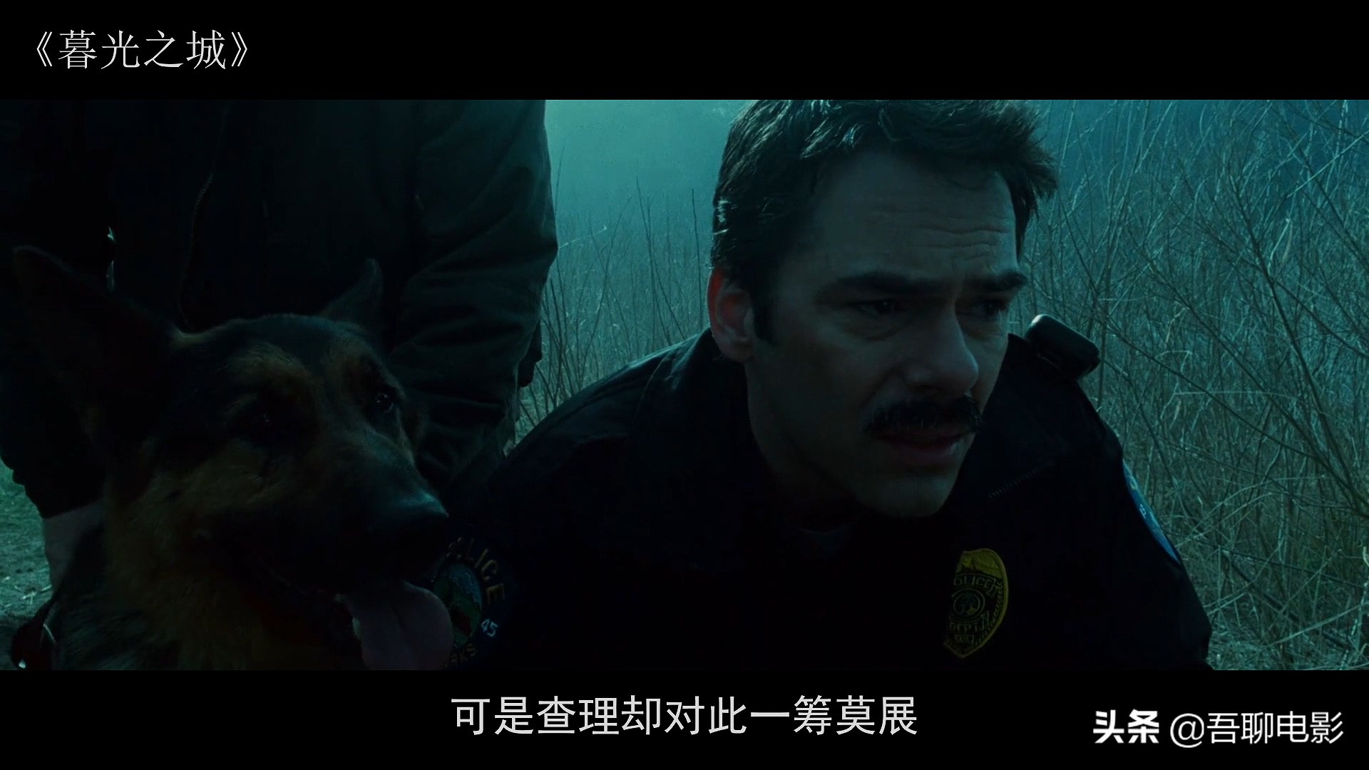 一部风靡全球的奇幻片，小伙死后变成吸血鬼，单手可以推开汽车