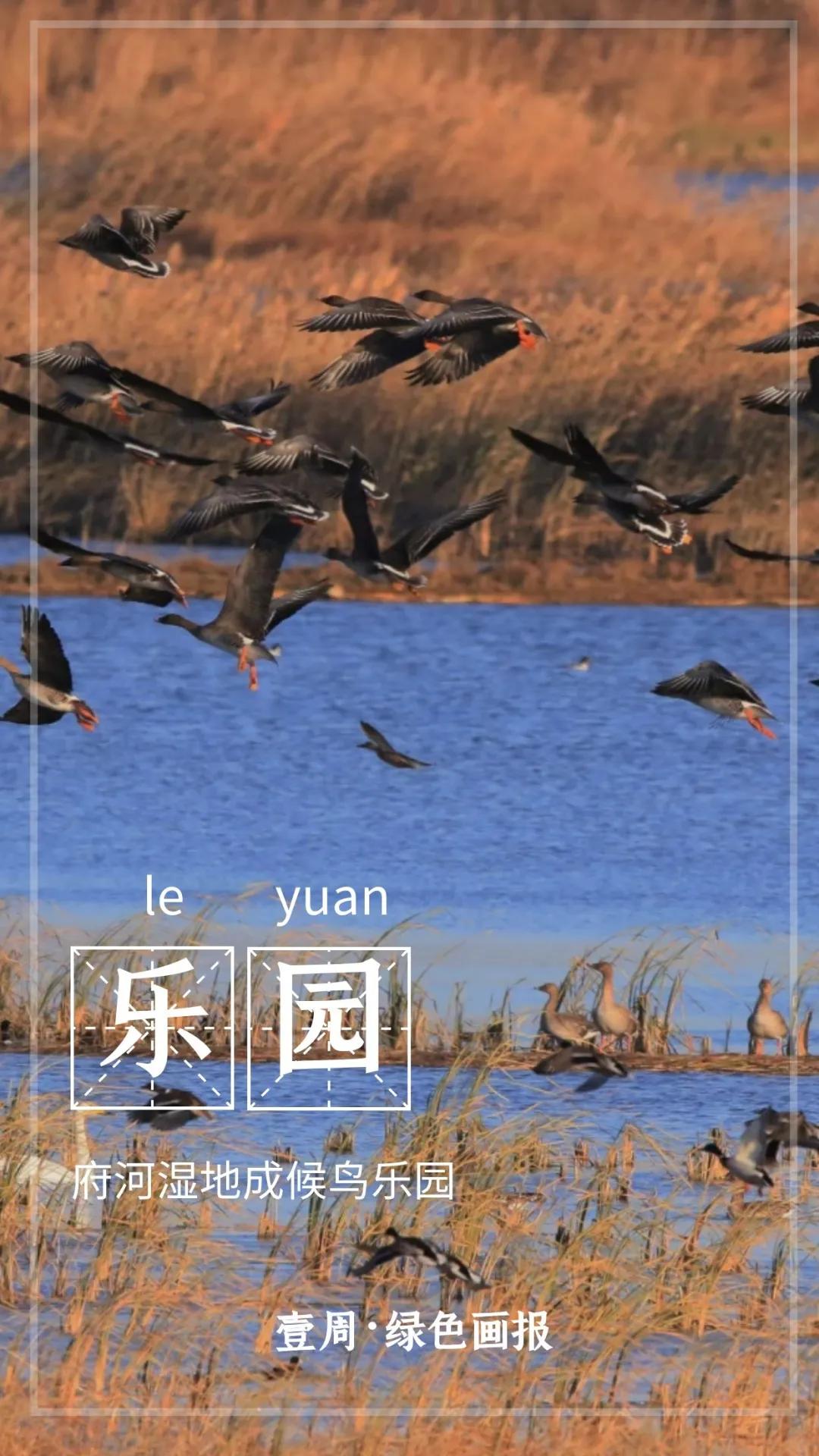 会玩！公园空降一批“暖宝宝”，只为给“老铁”暖暖心