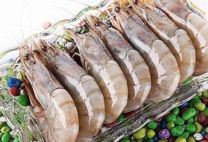 怀孕期间孕妇能吃的海鲜,孕妇怎么才能开始吃海鲜