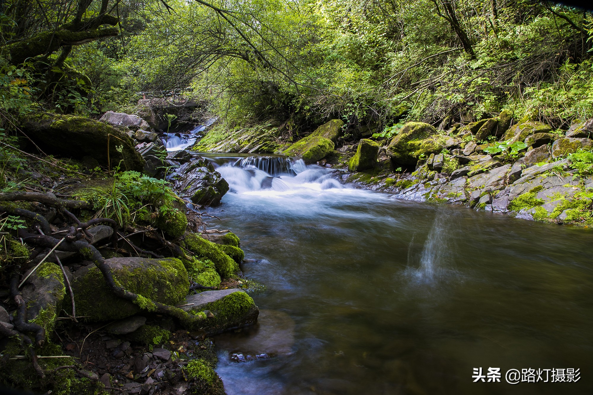 初夏要有十分美，宁夏固原占九分，你同意吗？