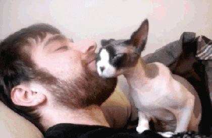 有毛囊炎的男生用什么剃须刀,毛囊炎感染了涂药膏有用吗