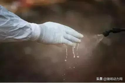 非瘟过后怎样消毒才能最快复养,非瘟如何正确消毒