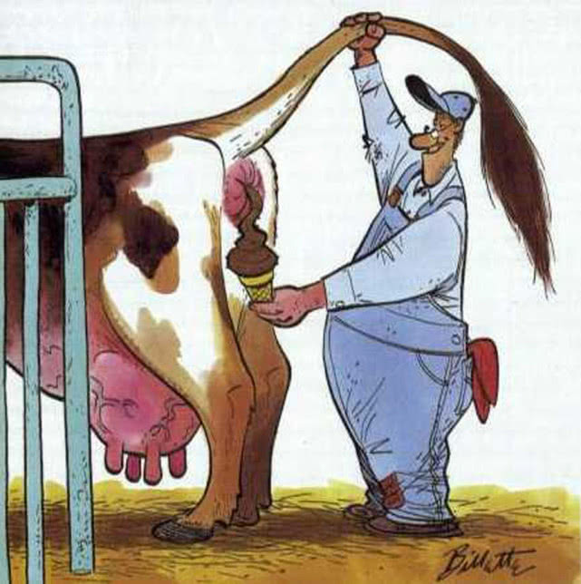 钓鱼打窝怎么打最好,钓鱼打窝怎么打比较好