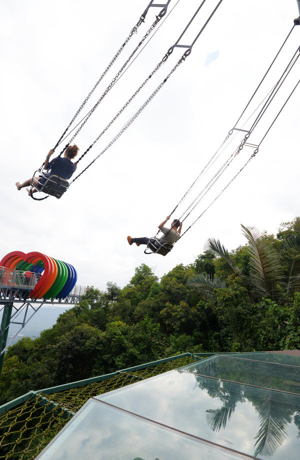 海南呀诺达热带雨林文化旅,三亚诺达雨林旅游攻略