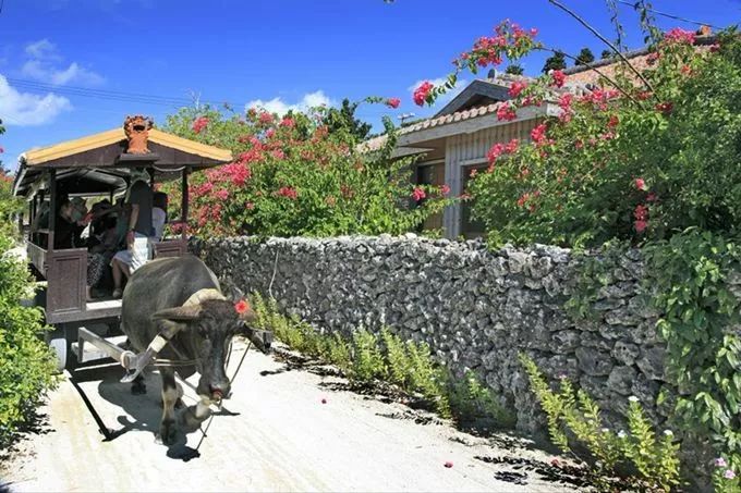 冲绳有啥,冲绳有没有啥