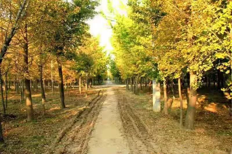 打卡北京十大古迹,打卡北京100个景点