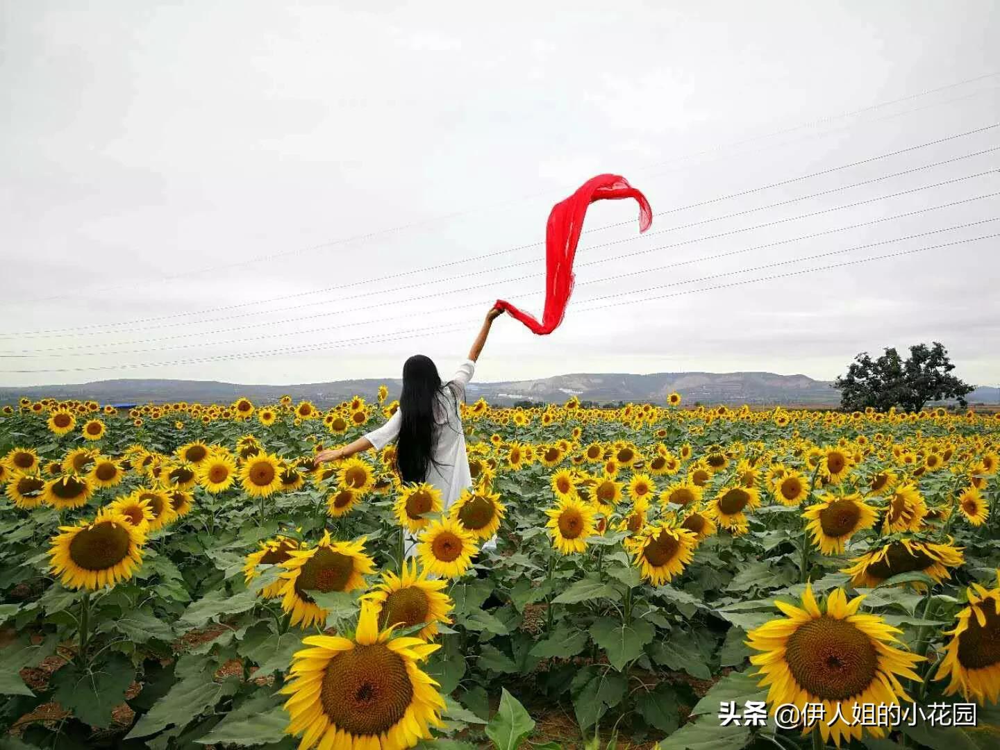 耀州土桥村，我想偷点时光给自己……