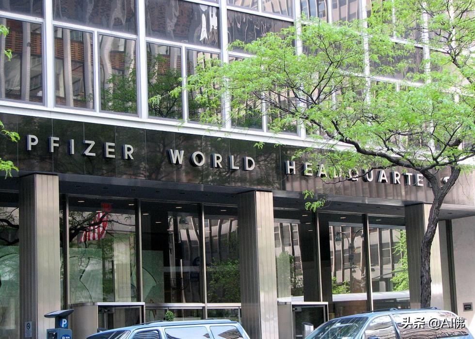 移民公司成功案例,美国成功的创业公司有哪些